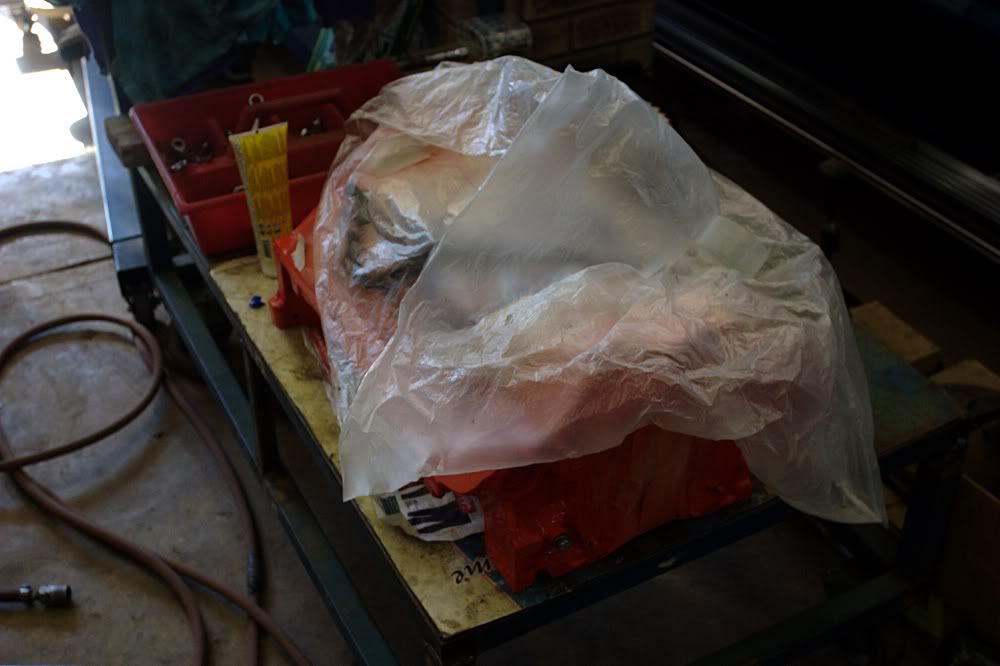 CRW_7780.jpg