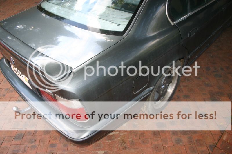 M5e34018.jpg