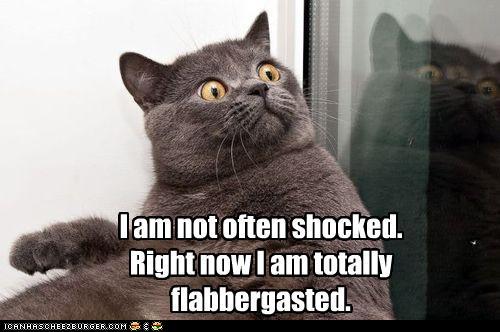 flabbergasted.jpg