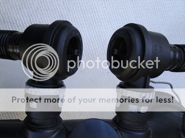 DSC01164.jpg
