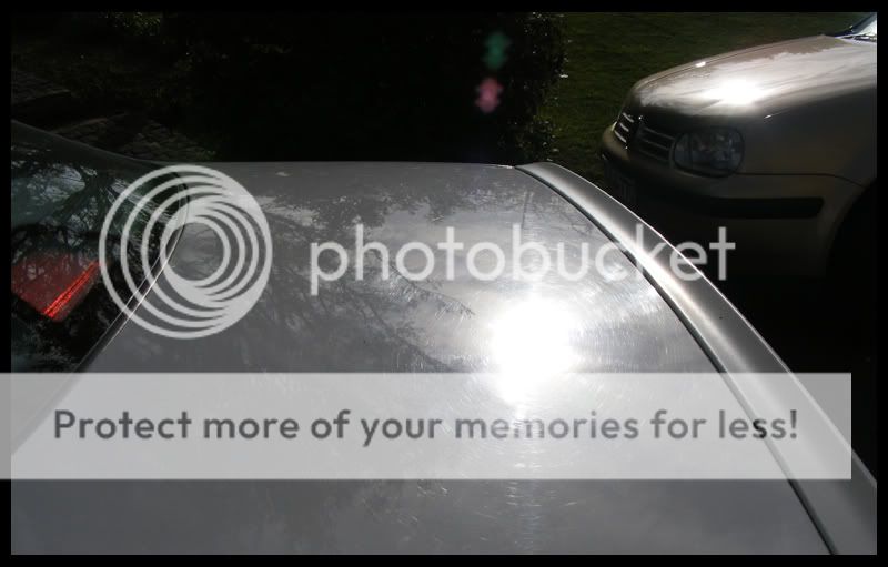 DSCF1781.jpg
