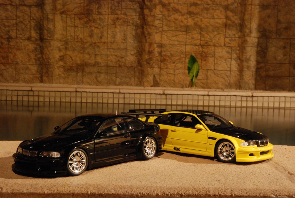 dsc_6518rs_9988356637.jpg
