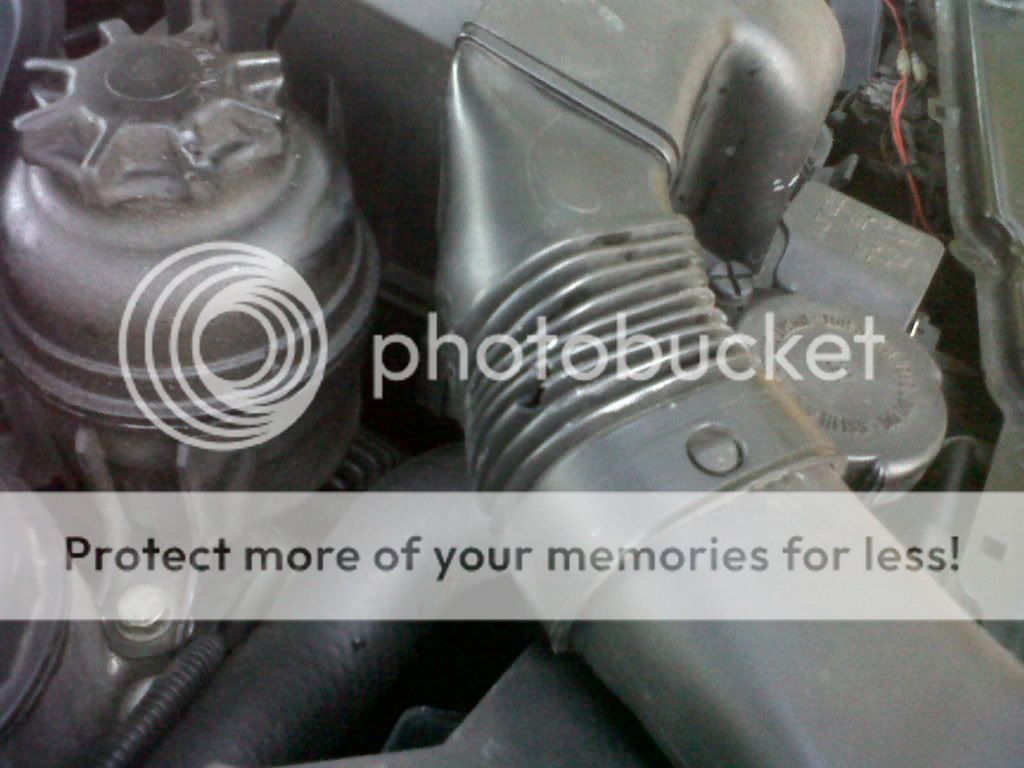 IMG01682-20120306-1903.jpg