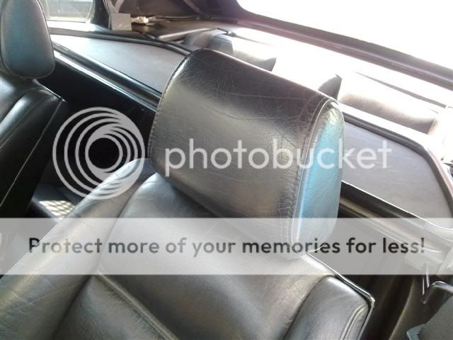 30082010238Small.jpg