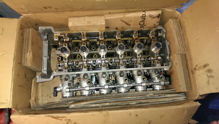 01-HeadTearDown(19).jpg