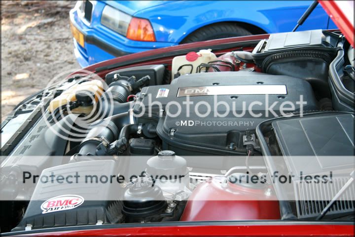 IMG_2664.jpg