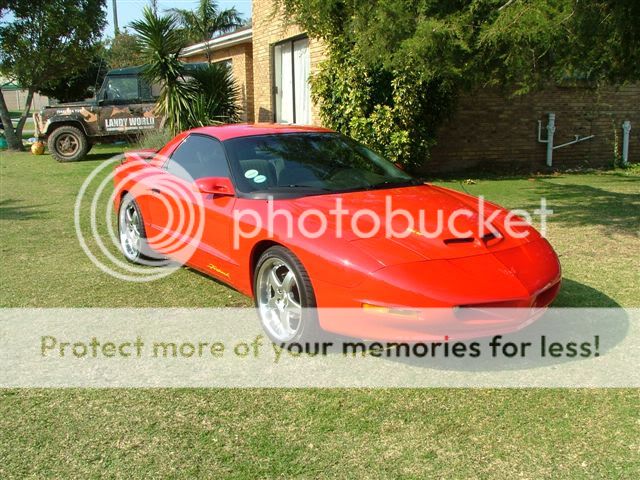 DSCF7441.jpg