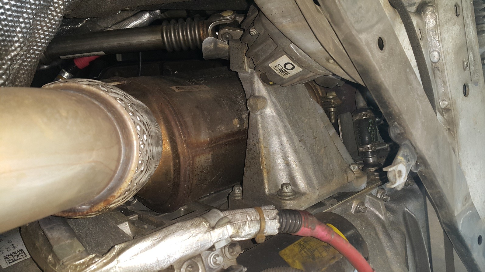 oem cat_3173363008.jpg