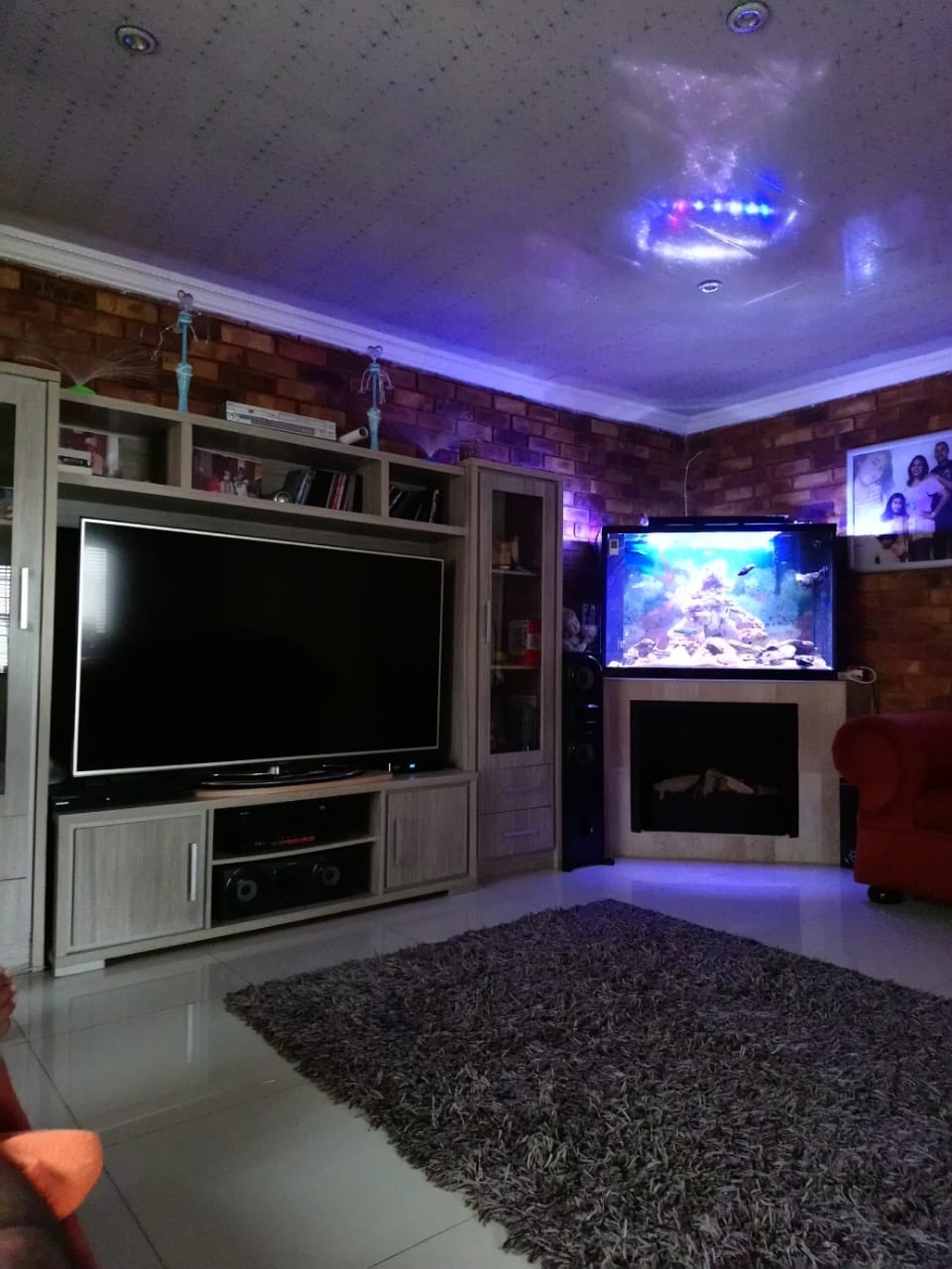 my tank_1886080015.jpg