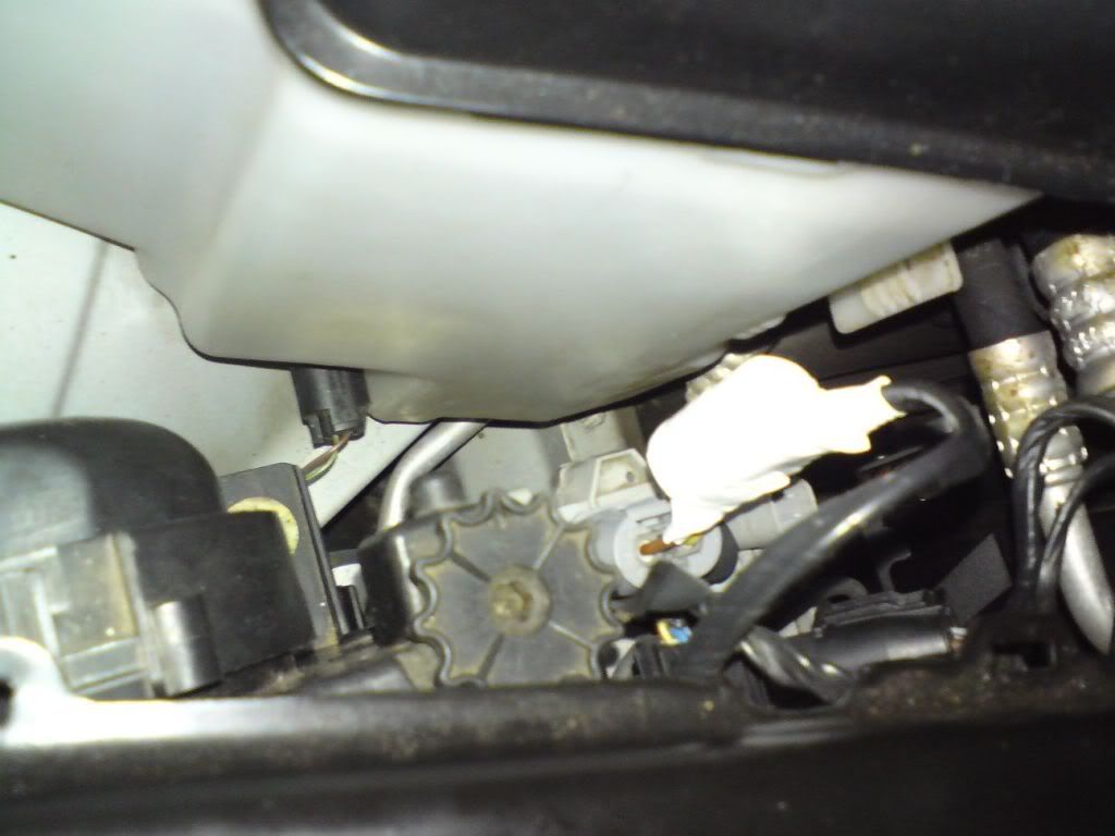 DSC00657.jpg