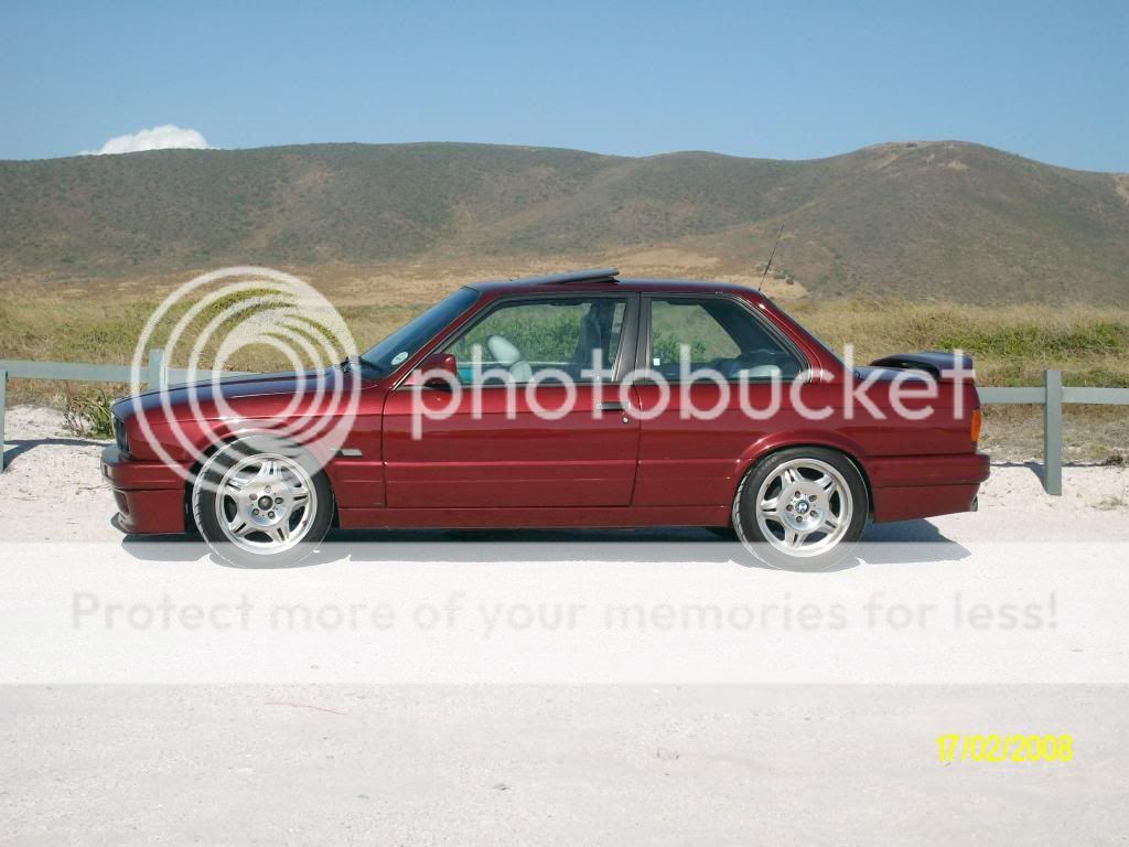 SANY0599.jpg