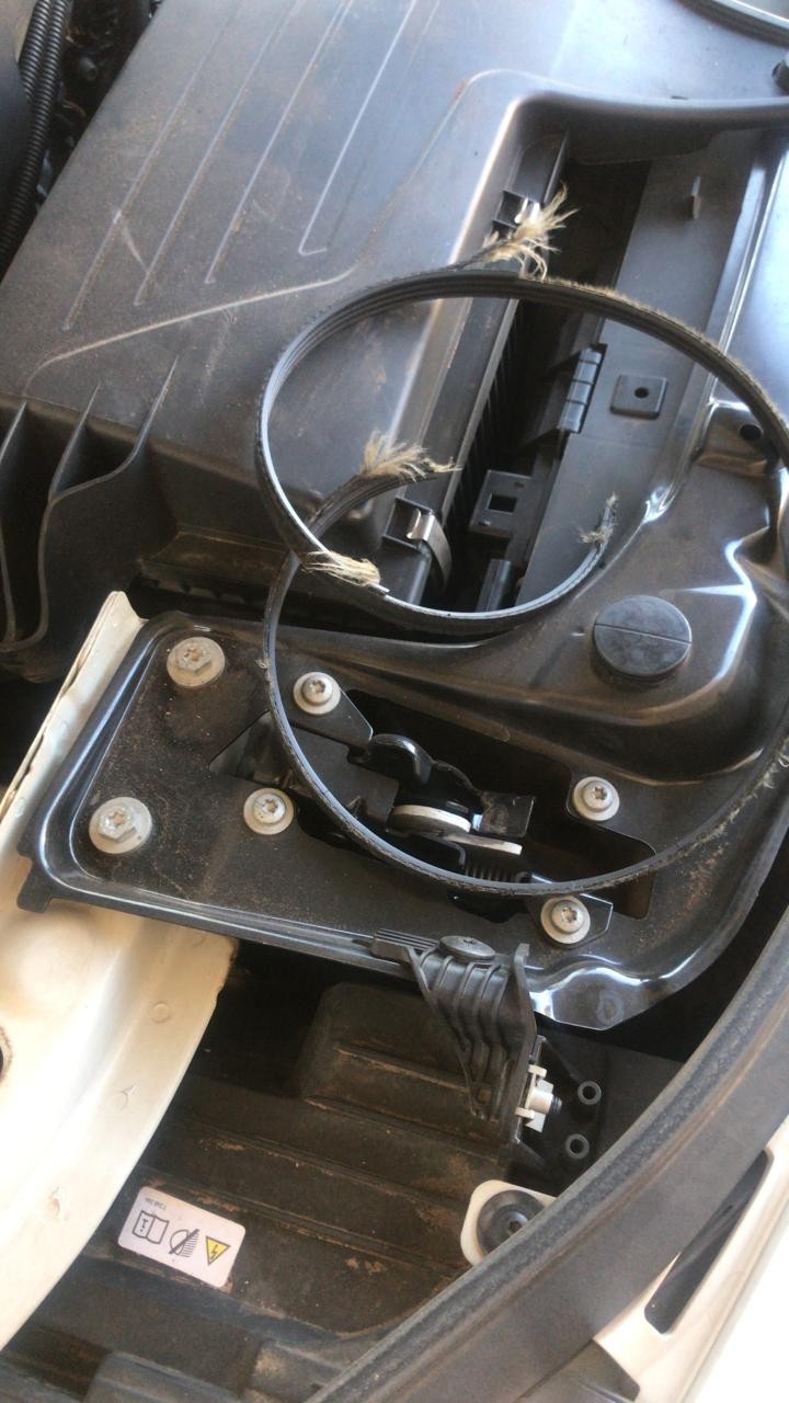 belt_294631528.jpg