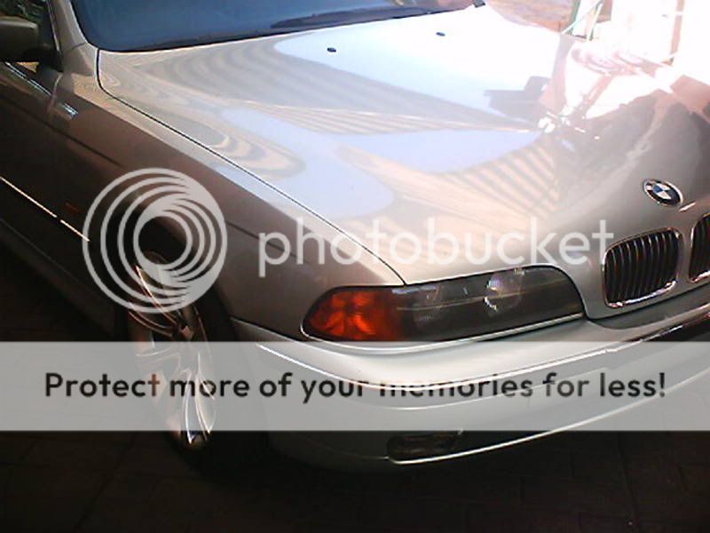 Bimmer2.jpg