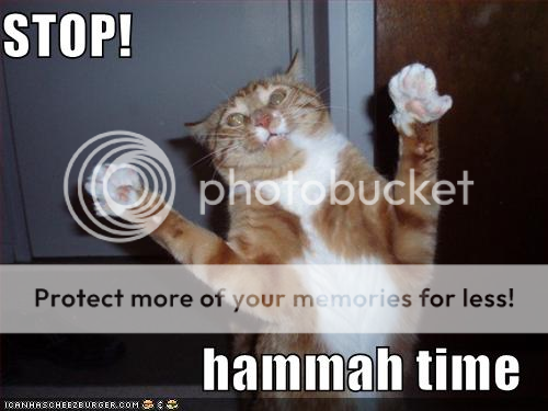 Hammerkitty.png