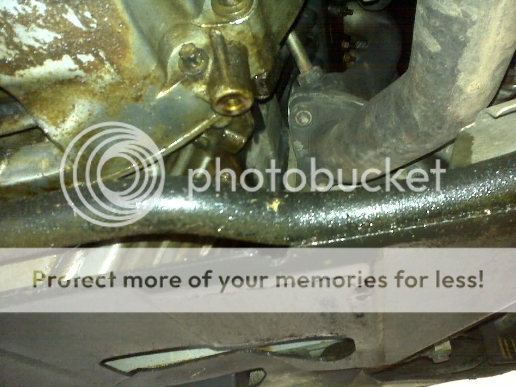 14Sept2010041.jpg