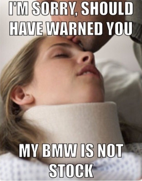 mem4_9346170360.jpg