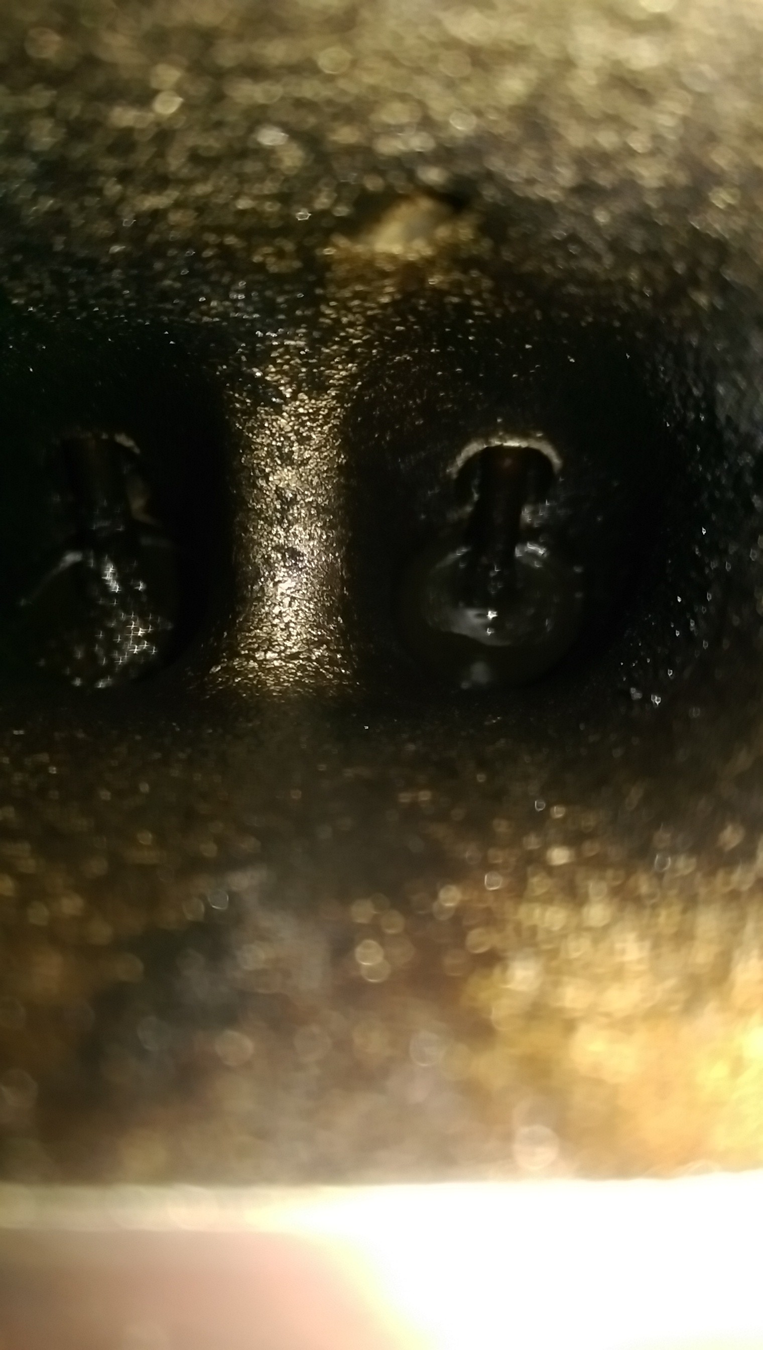 imag2582_5602926649.jpg