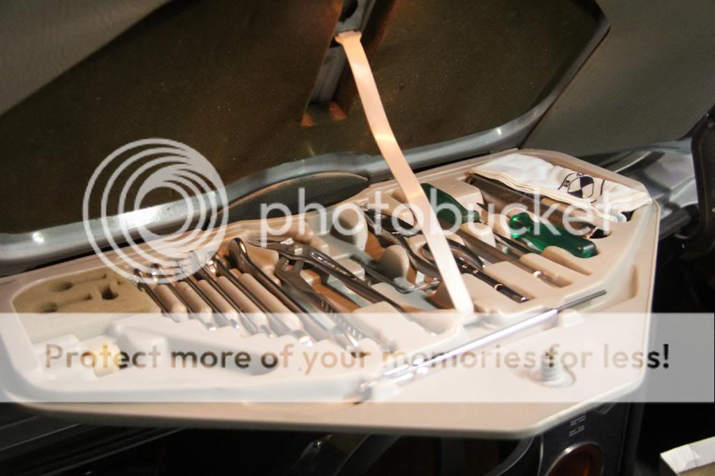 IMG_7215.jpg