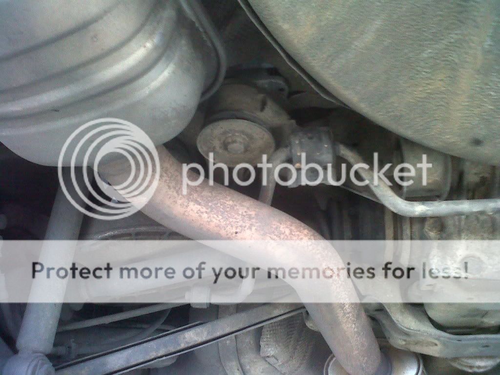 IMG00047-20101124-1001.jpg