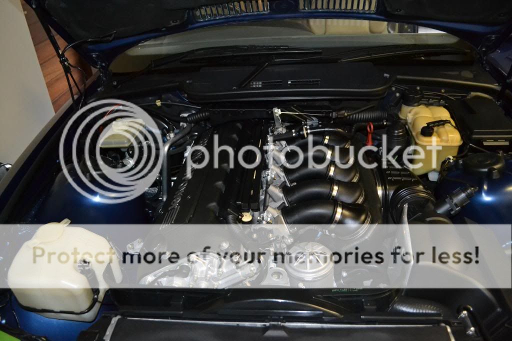 DSC_0184_zpsfbced9e7.jpg