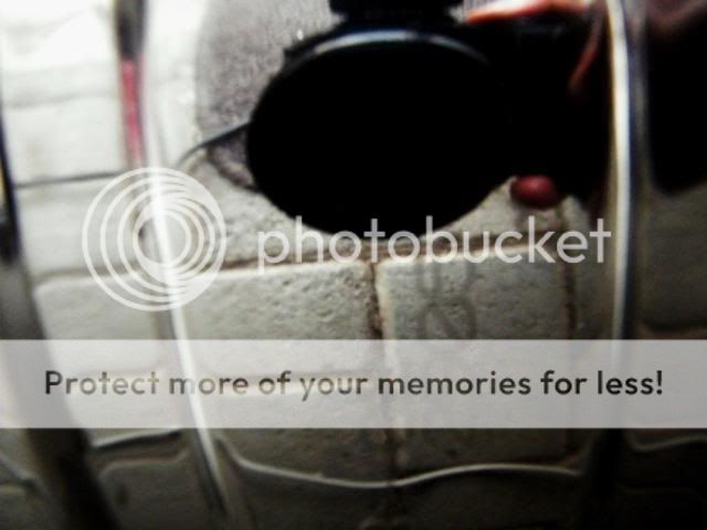 Picture359.jpg
