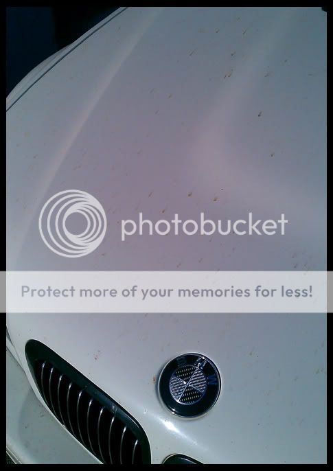 JPEGImage527412.jpg