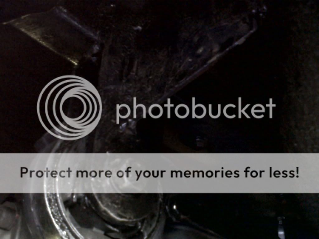 IMG00238-20120303-1258.jpg