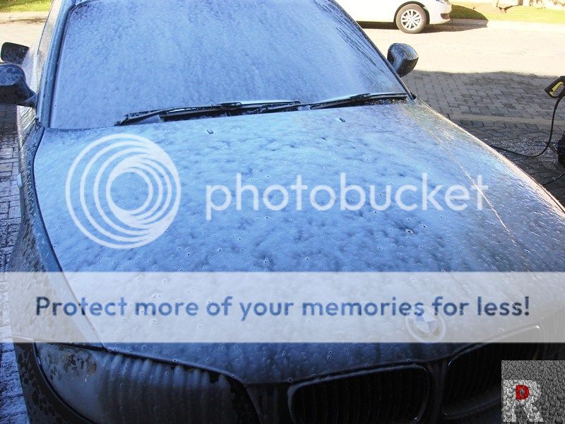 DSC08465_zps1cf10cce.jpg