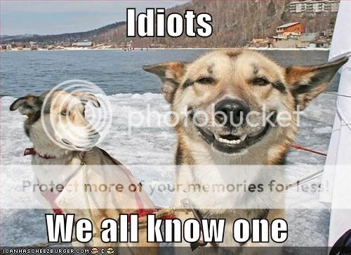 Idiots.jpg