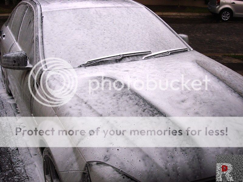 DSC08505_zps4be83ae6.jpg