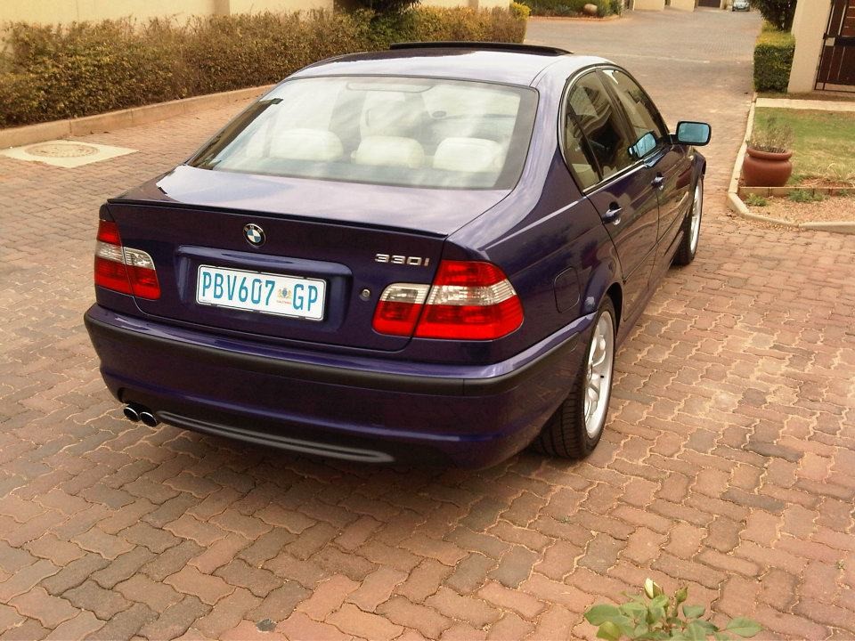barney1_3786703376.jpg