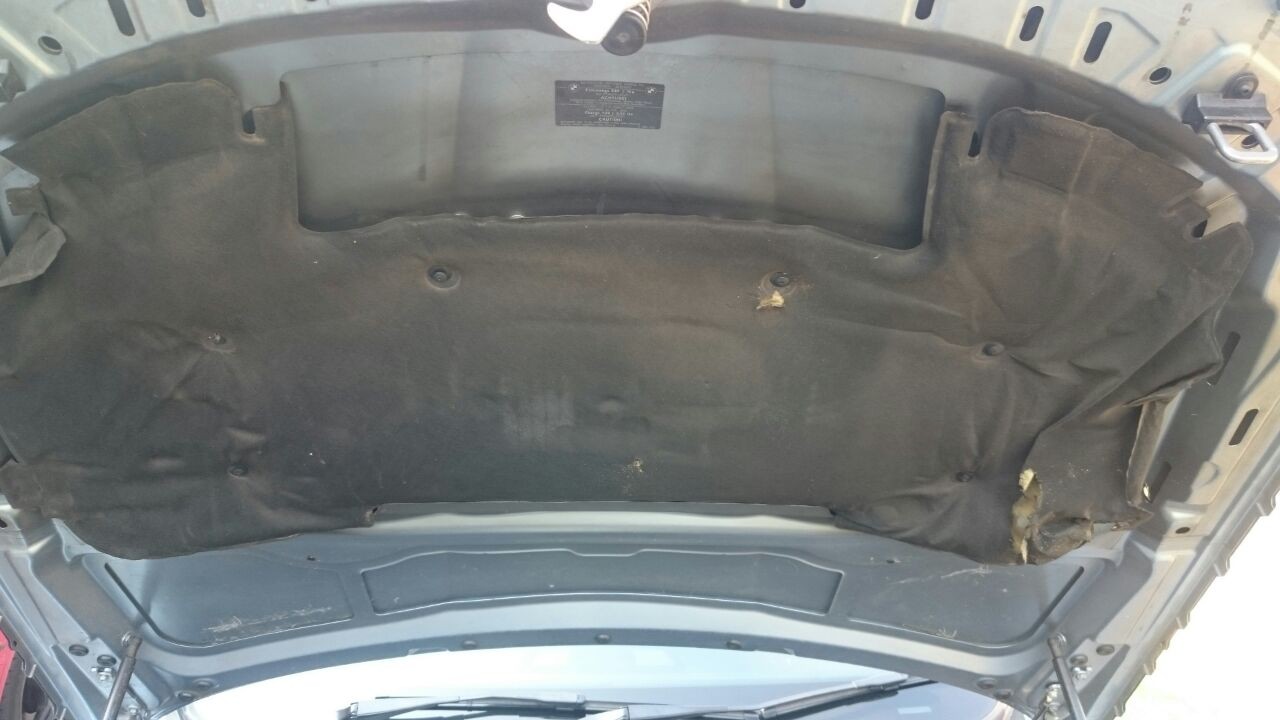 bonnet_1437475238.jpg