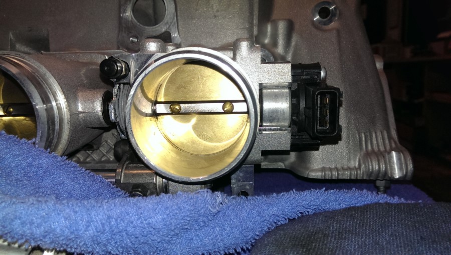 02-CSL-Head_install(9).jpg