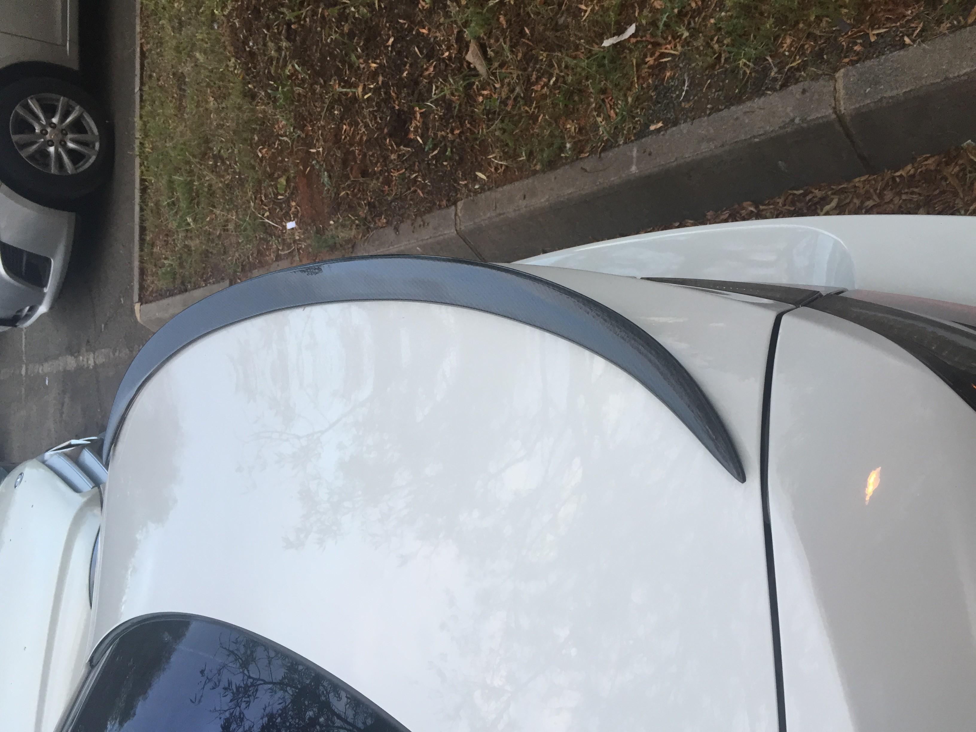 image_7072835150.jpeg