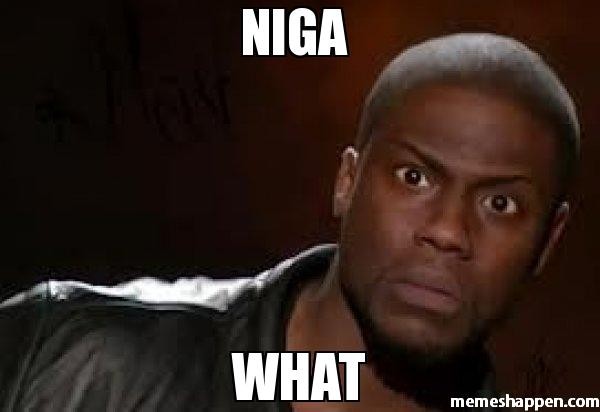 niga--what-meme-18813_4076404999.jpg