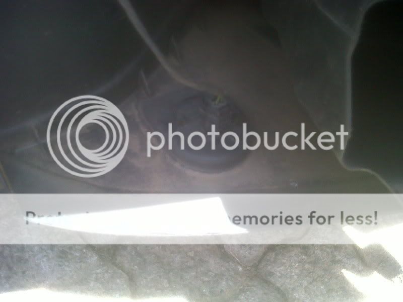 IMG00257-20101129-1309.jpg