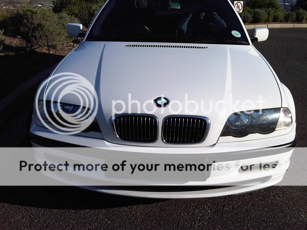 bmwtintswheels5.jpg