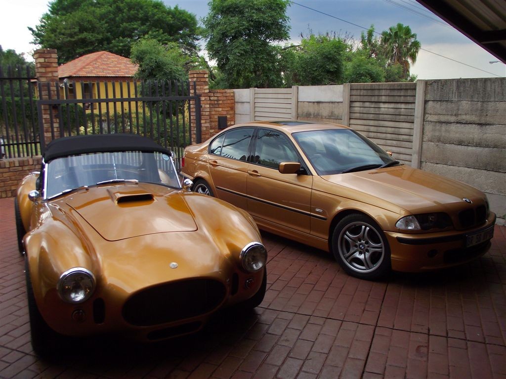 bm & cobra (1)_1270999894.jpg
