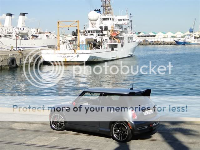 DSC01784.jpg