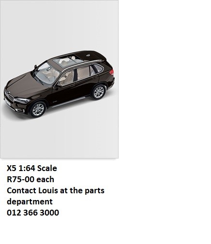 mini x5_5547392880.jpg