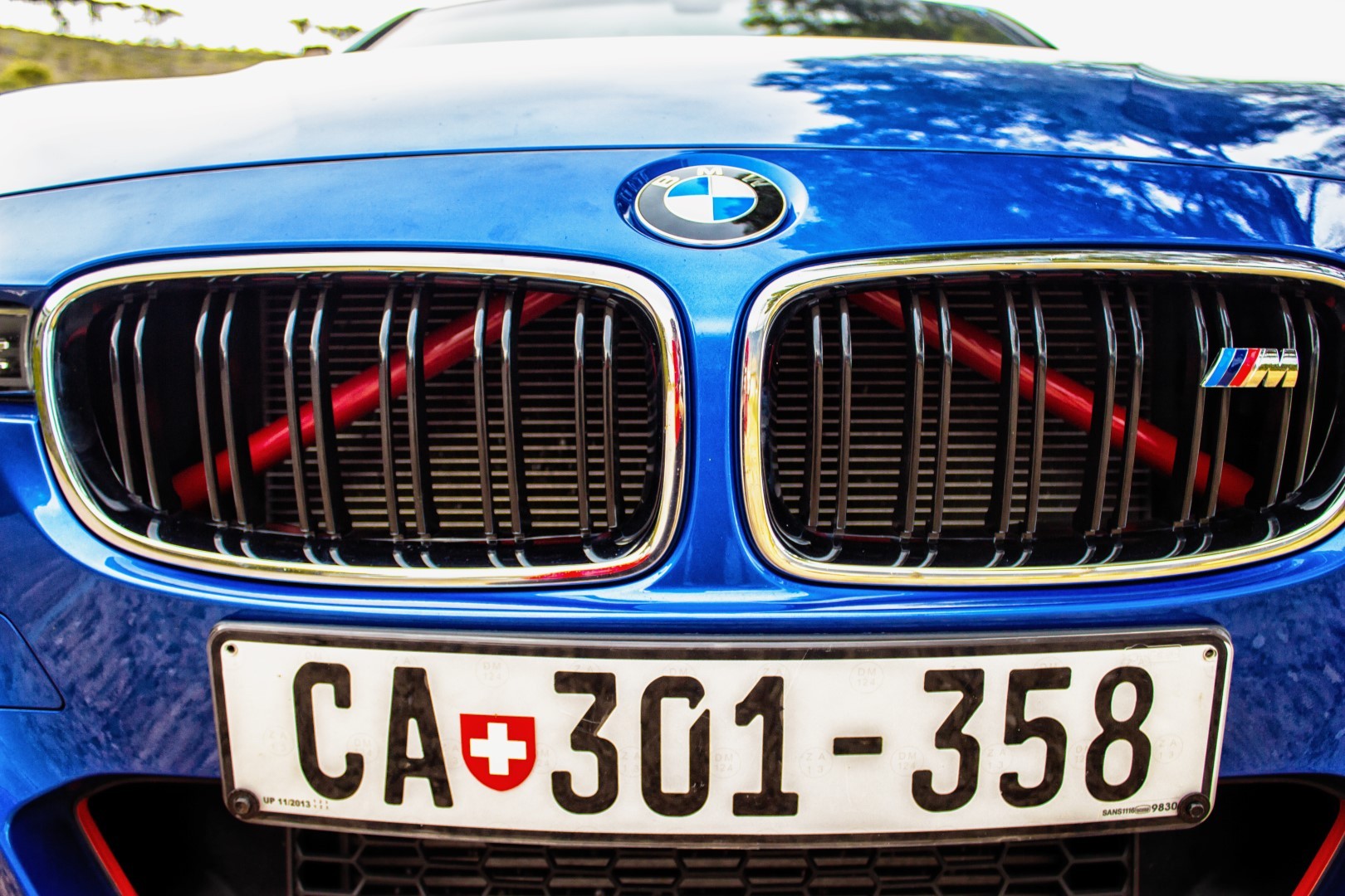 bmw vinyl 4 (large)_8250815379.jpg