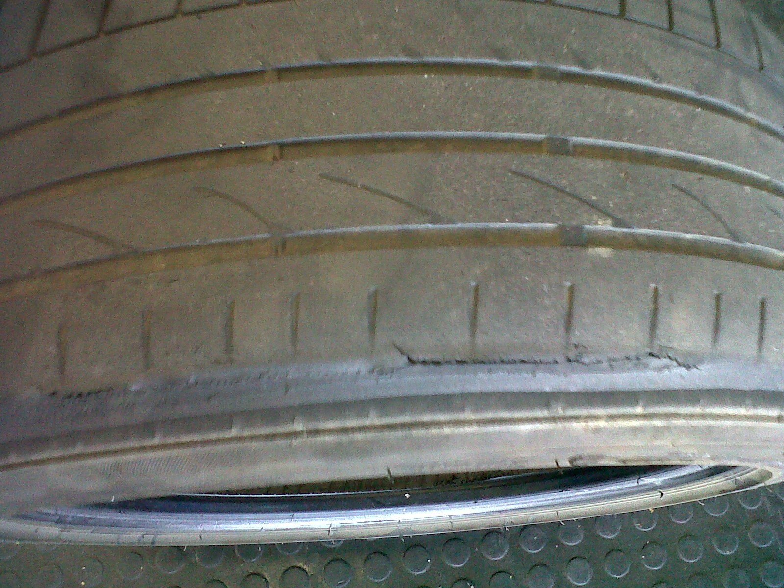 img03710-20150121-0953_2101939269.jpg