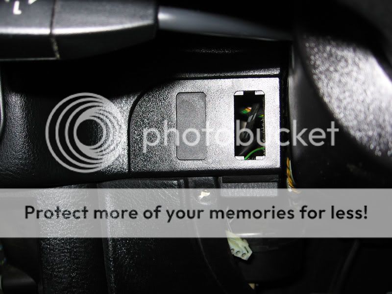 IMG_9812.jpg
