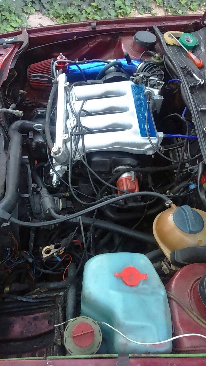 1_2375009544.jpg