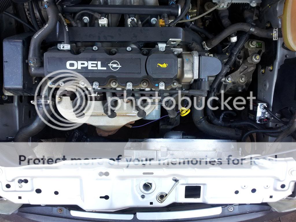 20120423_075733Medium.jpg