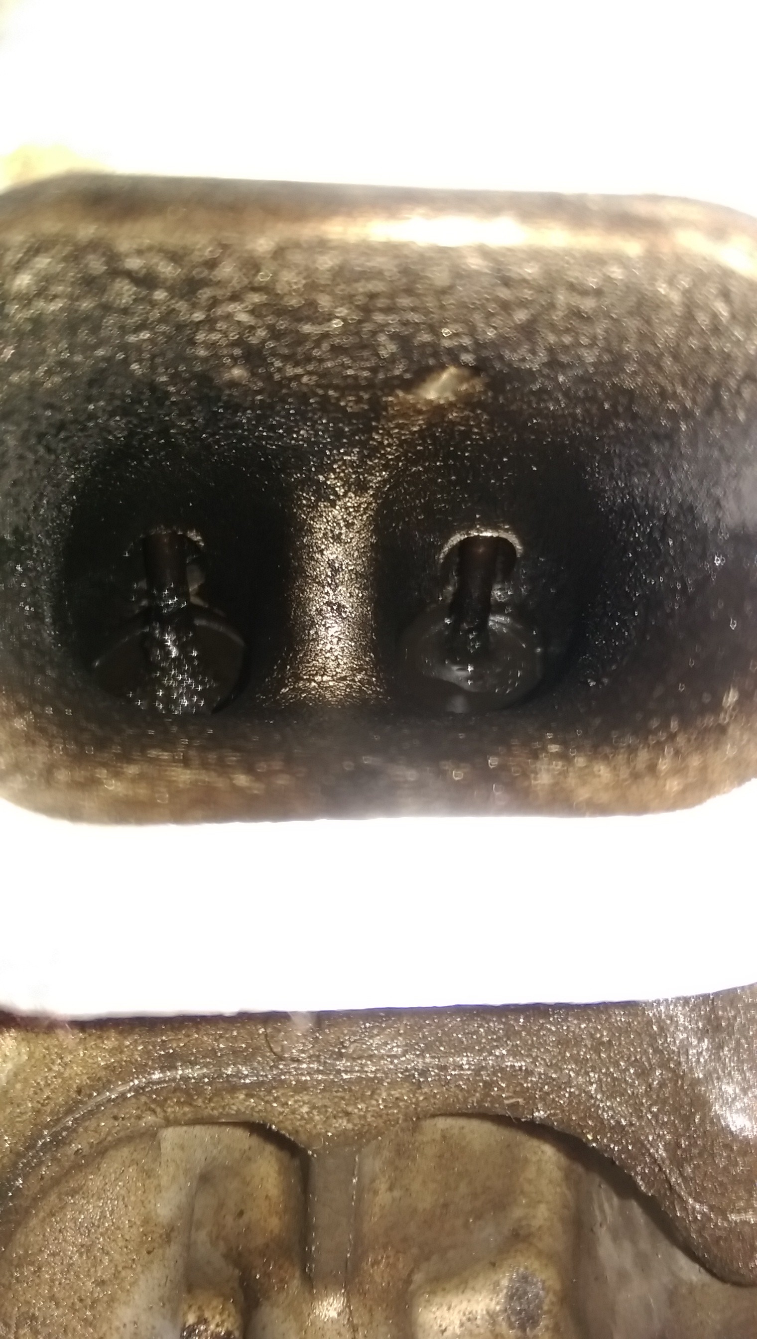 imag2585_3368873735.jpg