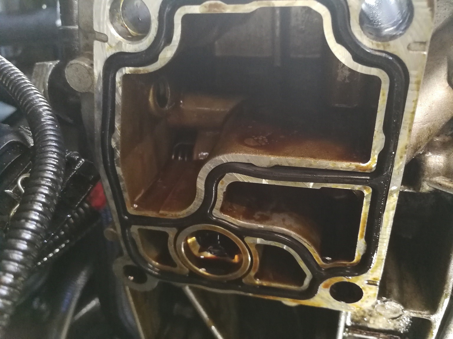 new gasket in_8423318476.jpg