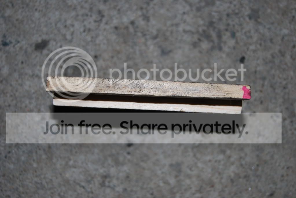 DSC_0443.jpg