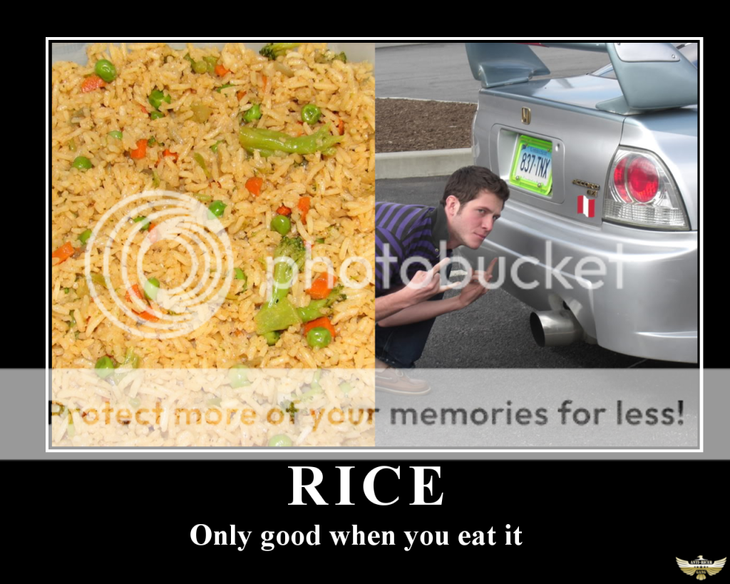AntiRicePoster.png