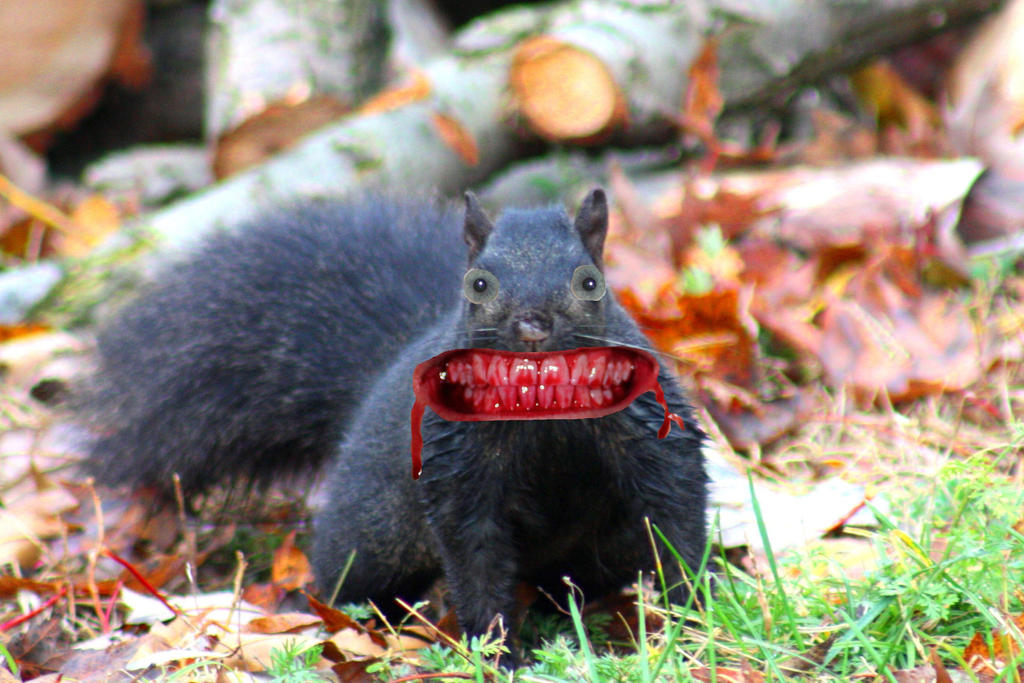 North_American_Zombie_Squirrel_by_KeswickPinhead.jpg